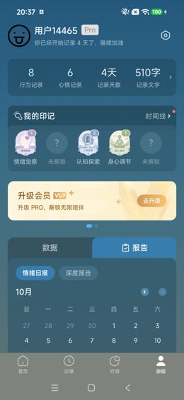 报告页签