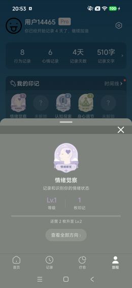 情绪觉察印记详情